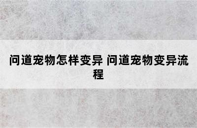 问道宠物怎样变异 问道宠物变异流程